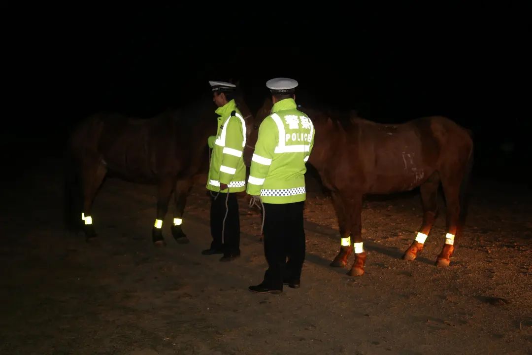 Wear reflective tape to protect the safety of large livestock